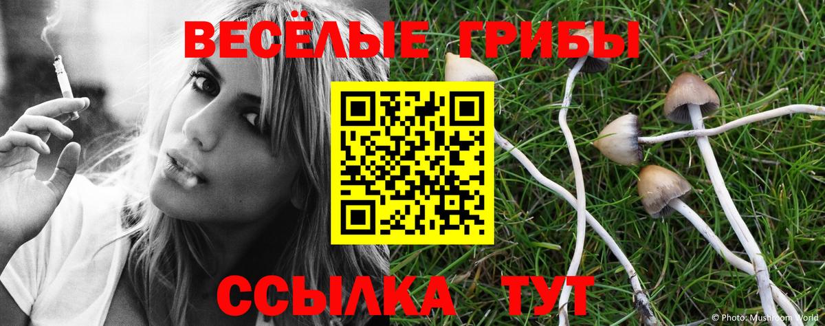 Псилоцибиновые грибы Заволжье